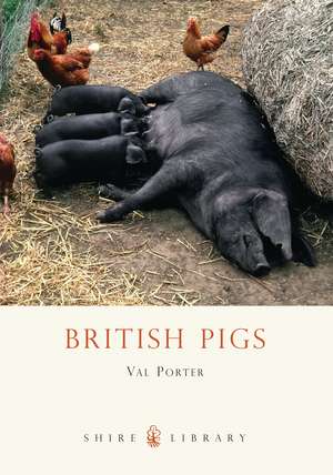 British Pigs de Val Porter