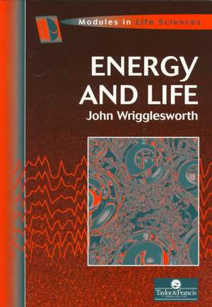 Energy And Life de John Wrigglesworth