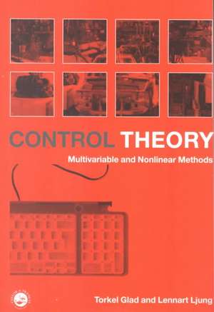 Control Theory de Torkel Glad