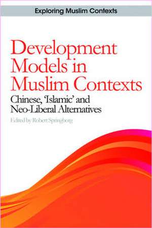 Development Models in Muslim Contexts de Robert Springborg