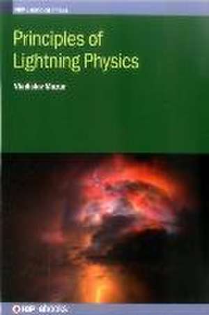 Principles of Lightning Physics de Vladilav Mazur