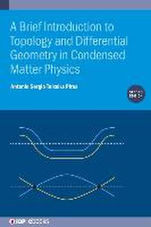 A Brief Introduction to Topology and Differential Geometry in Condensed Matter Physics (Second Edition) de Antonio Sergio Teixeira Pires