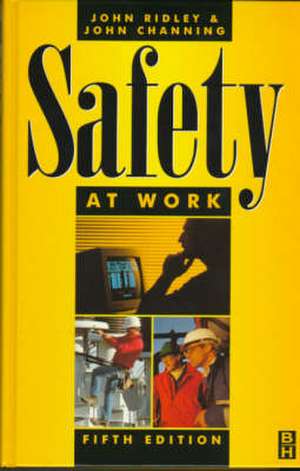 Safety at Work de Ridley