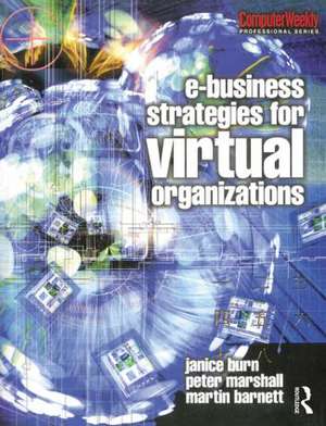 e-Business Strategies for Virtual Organizations de Janice Burn