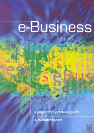 e-Business - A Jargon-Free Practical Guide de James Matthewson