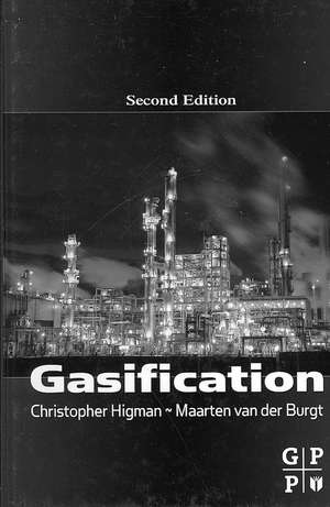 Gasification de Christopher Higman