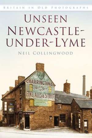 Unseen Newcastle-Under-Lyme: Matania's Vision of the First World War de Neil Collingwood