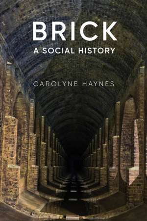 Brick: A Social History de Carolyne Haynes