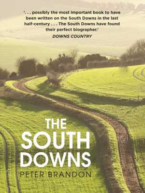 The South Downs de Peter Brandon