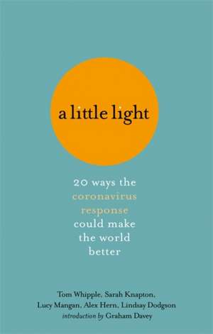 A Little Light de Tom Whipple