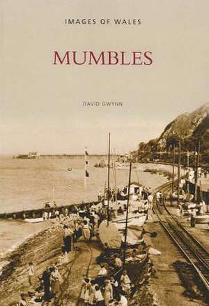 Mumbles de David Gwynn