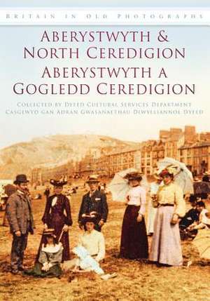 Aberystwyth and North Ceredigon de Dyfed Cultural Services