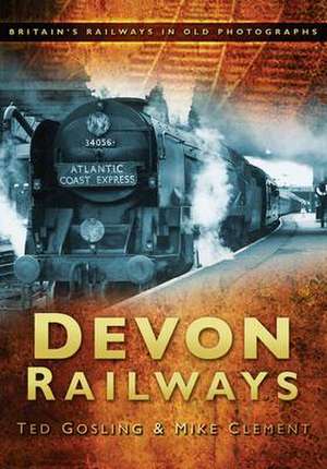 Devon Railways de Mike Clement