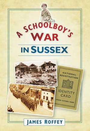 A Schoolboy's War in Sussex de James Roffey