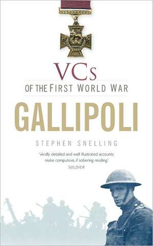 Vcs of the First World War: Gallipoli de Stephen Snelling