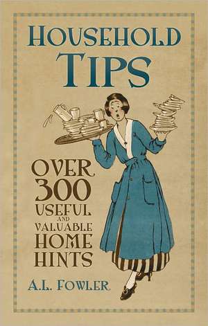 Household Tips: Over 300 Useful and Valuable Home Hints de A. L. Fowler