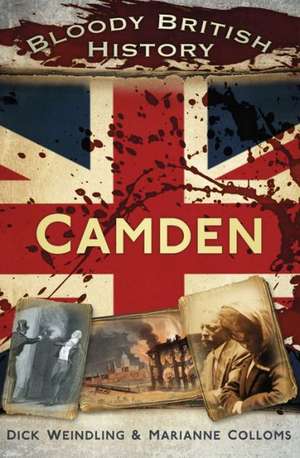 Camden: From Captain to Major General, 1914-18 de Marianne Colloms