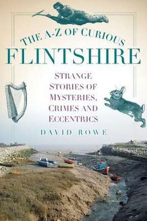 A-Z of Curious Flintshire de David Rowe