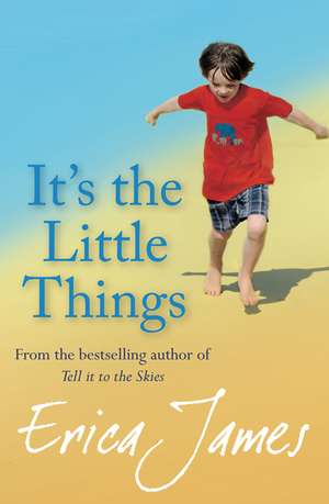 It's The Little Things de Erica James