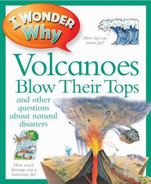 Greenwood, R: I Wonder Why Volcanoes Blow Their Tops