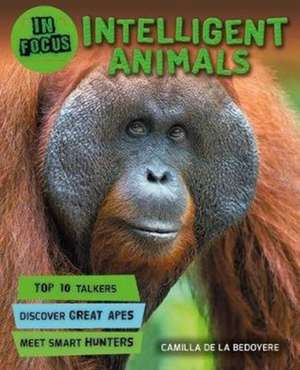 Ganeri, A: In Focus: Intelligent Animals