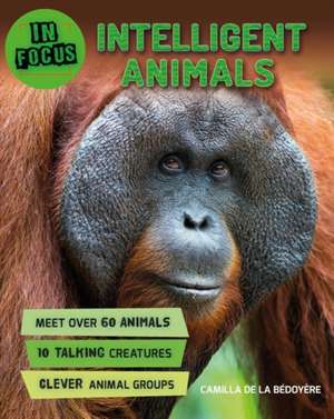 In Focus: Intelligent Animals de Camilla De La Bedoyere