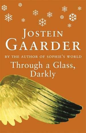 Through A Glass, Darkly de Jostein Gaarder