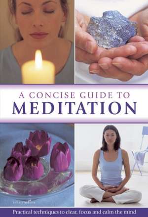 Concise Guide to Meditation de John Hudson