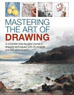 Mastering the Art of Drawing de Ian Sidaway