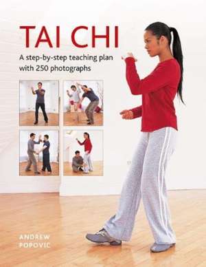 Tai Chi de Andrew Popovic