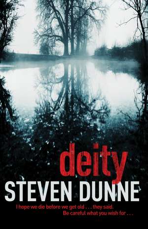 Deity (DI Damen Brook 3) de Steven Dunne