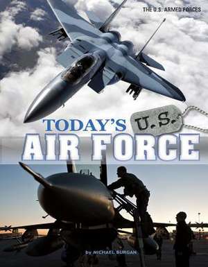 Today's U.S. Air Force de Michael Burgan