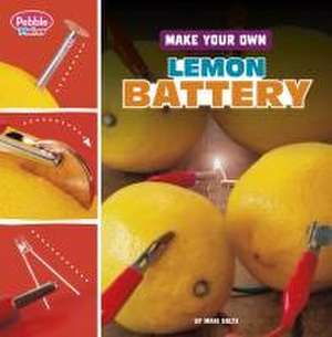 Make Your Own Lemon Battery de Mari Bolte