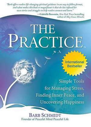 The Practice: Simple Tools for Managing Stress, Finding Inner Peace, and Uncovering Happiness de Barb Schmidt