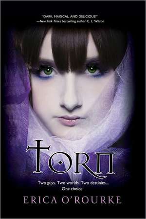 Torn de Erica O'Rourke