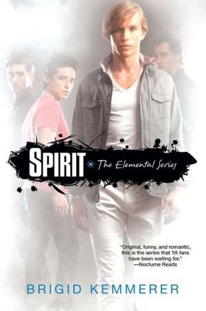 Spirit de Brigid Kemmerer