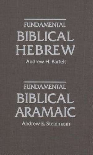 Fundamental Biblical Hebrew de Andrew E. Steinmann