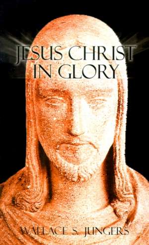 Jesus Christ in Glory de Wallace S. Jungers