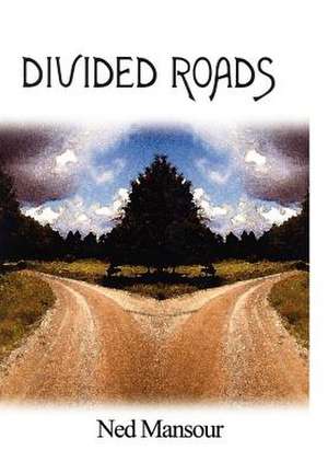 Divided Roads de Ned Mansour