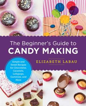 The Beginner's Guide to Candy Making de Elizabeth Labau