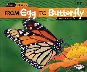 From Egg to Butterfly de Shannon Zemlicka