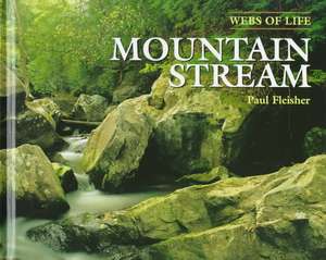 Mountain Stream de Paul Fleisher