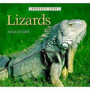 Lizards de Susan Schafer