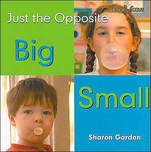 Big/Small de Sharon Gordon