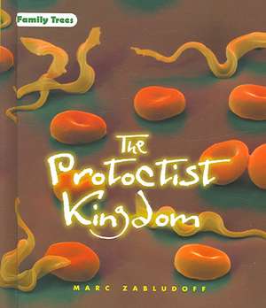 The Protoctist Kingdom de Marc Zabludoff