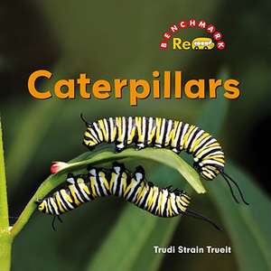 Caterpillars de Trudi Strain Trueit