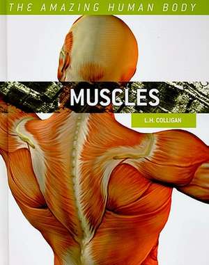 Muscles de L. H. Colligan