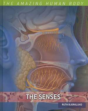 The Senses de Ruth Bjorklund