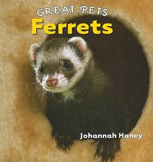 Ferrets de Johannah Haney