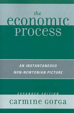 The Economic Process de Carmine Gorga